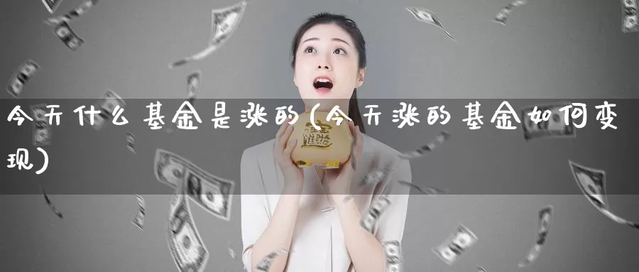 今天什么基金是涨的(今天涨的基金如何变现)_https://www.zzcnk.com_基金_第1张