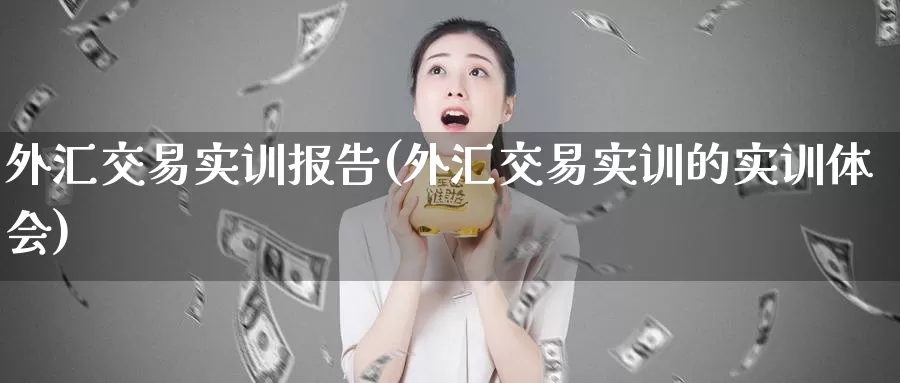 外汇交易实训报告(外汇交易实训的实训体会)_https://www.zzcnk.com_内盘期货_第1张