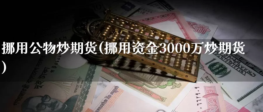 挪用公物炒期货(挪用资金3000万炒期货)_https://www.zzcnk.com_期货直播_第1张