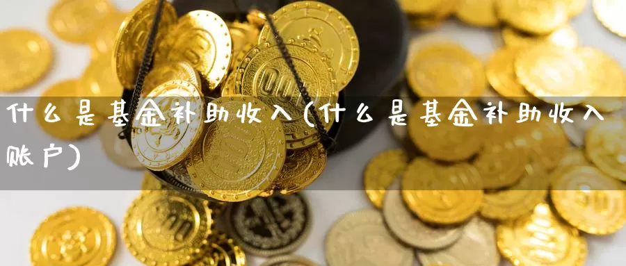 什么是基金补助收入(什么是基金补助收入账户)_https://www.zzcnk.com_基金_第1张