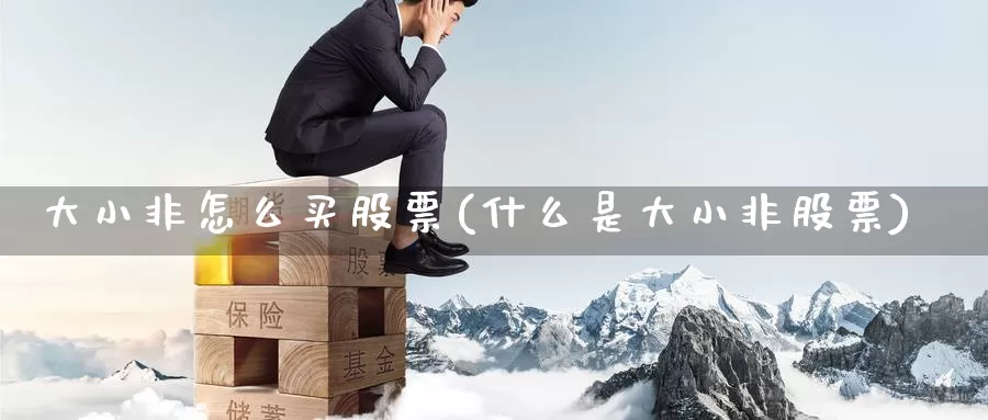 大小非怎么买股票(什么是大小非股票)_https://www.zzcnk.com_财经_第1张