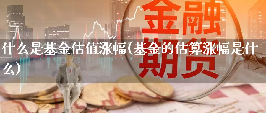 什么是基金估值涨幅(基金的估算涨幅是什么)_https://www.zzcnk.com_基金_第1张