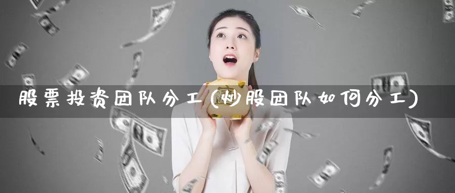 股票投资团队分工(炒股团队如何分工)_https://www.zzcnk.com_理财_第1张