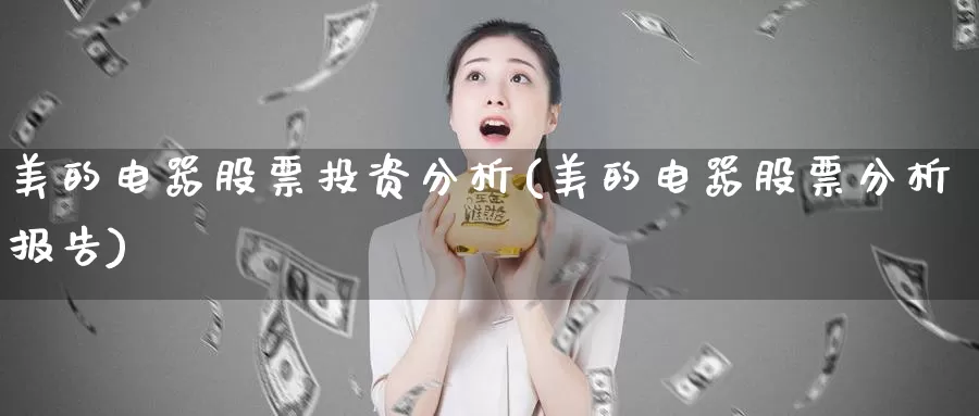美的电器股票投资分析(美的电器股票分析报告)_https://www.zzcnk.com_股票_第1张