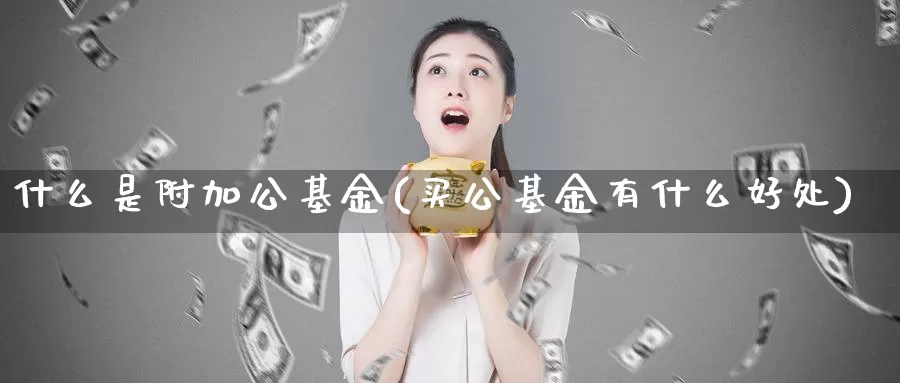 什么是附加公基金(买公基金有什么好处)_https://www.zzcnk.com_基金_第1张