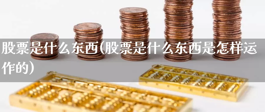 股票是什么东西(股票是什么东西是怎样运作的)_https://www.zzcnk.com_股指期货_第1张