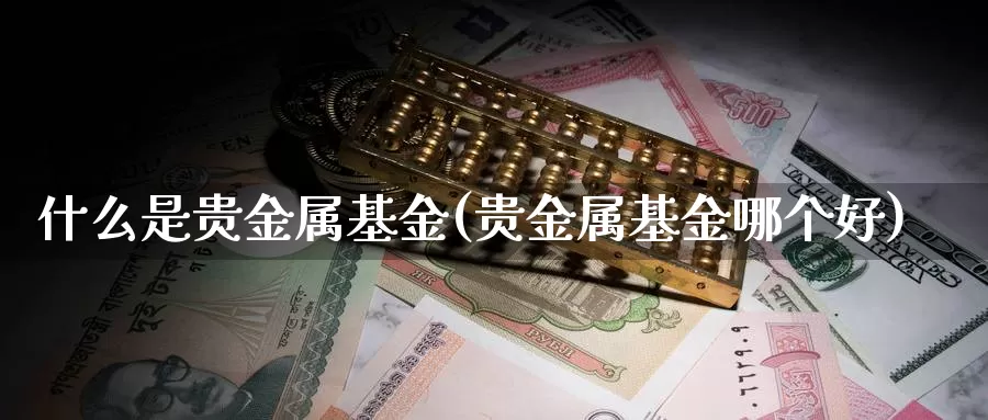 什么是贵金属基金(贵金属基金哪个好)_https://www.zzcnk.com_基金_第1张