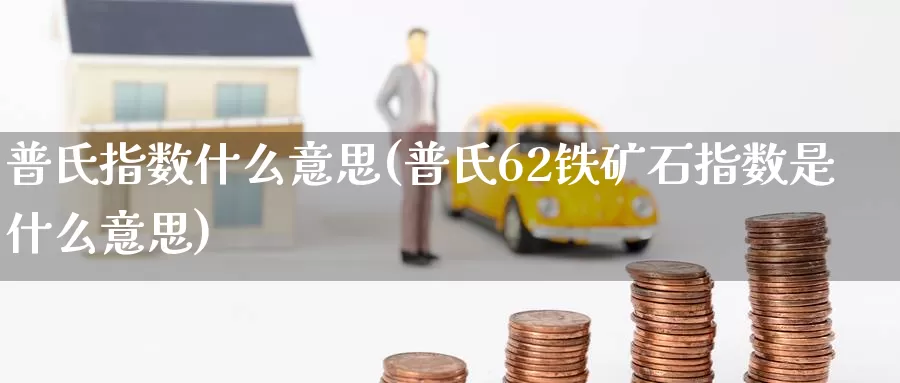 普氏指数什么意思(普氏62铁矿石指数是什么意思)_https://www.zzcnk.com_内盘期货_第1张