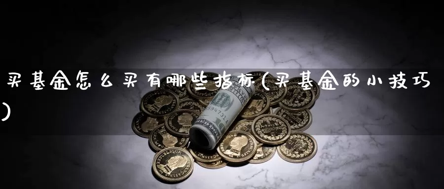 买基金怎么买有哪些指标(买基金的小技巧)_https://www.zzcnk.com_基金_第1张