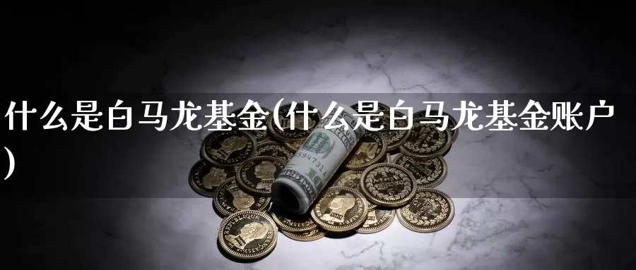 什么是白马龙基金(什么是白马龙基金账户)_https://www.zzcnk.com_基金_第1张
