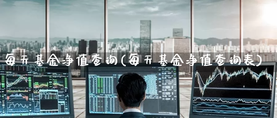 每天基金净值查询(每天基金净值查询表)_https://www.zzcnk.com_财经_第1张