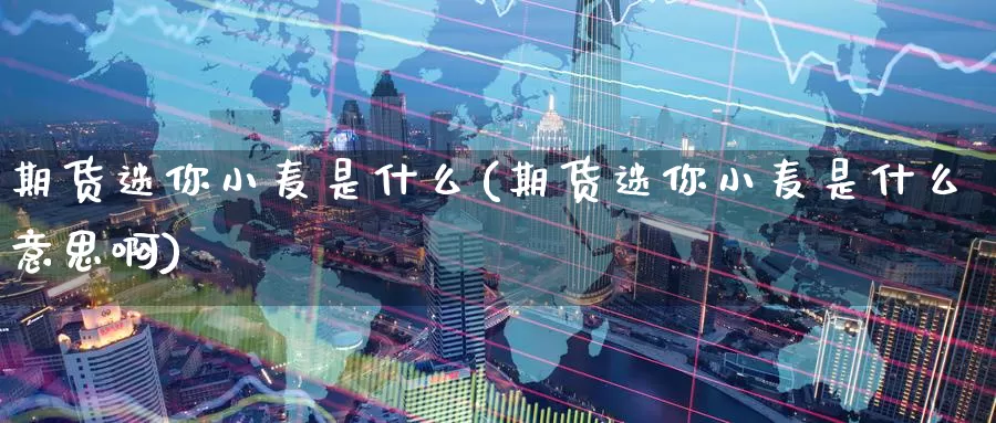 期货迷你小麦是什么(期货迷你小麦是什么意思啊)_https://www.zzcnk.com_期货_第1张