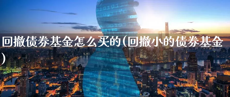 回撤债券基金怎么买的(回撤小的债券基金)_https://www.zzcnk.com_基金_第1张
