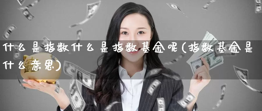 什么是指数什么是指数基金呢(指数基金是什么意思)_https://www.zzcnk.com_基金_第1张