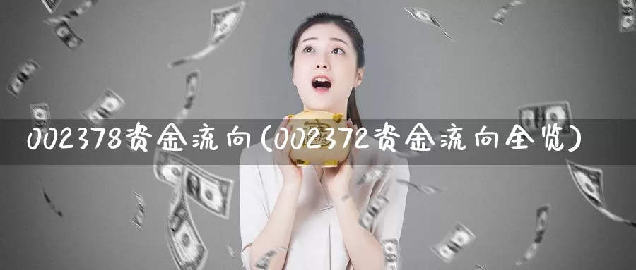 002378资金流向(002372资金流向全览)_https://www.zzcnk.com_期货直播_第1张
