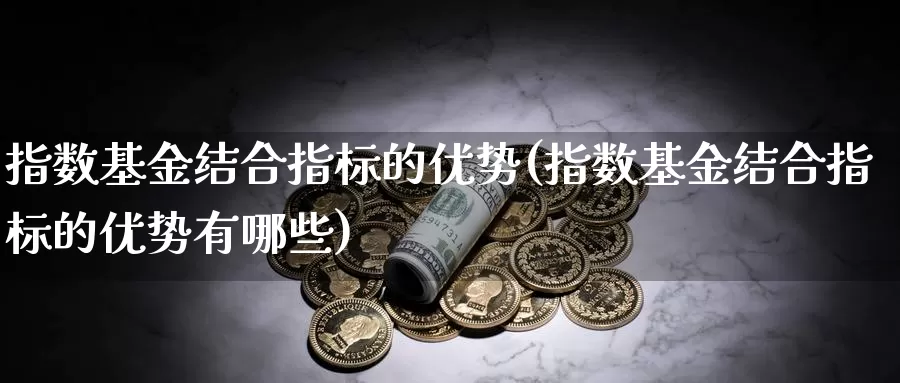 指数基金结合指标的优势(指数基金结合指标的优势有哪些)_https://www.zzcnk.com_理财_第1张