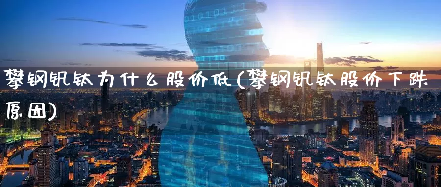 攀钢钒钛为什么股价低(攀钢钒钛股价下跌原因)_https://www.zzcnk.com_内盘期货_第1张