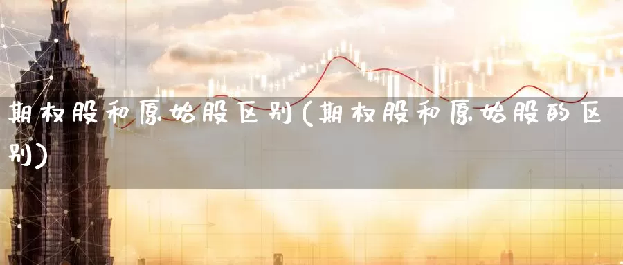 期权股和原始股区别(期权股和原始股的区别)_https://www.zzcnk.com_内盘期货_第1张