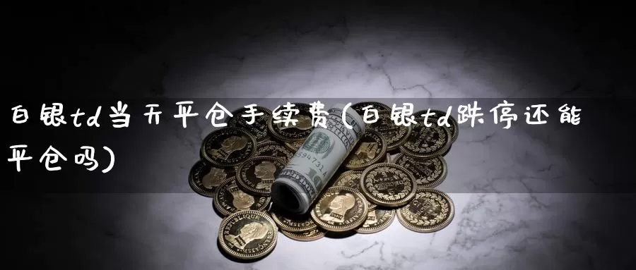 白银td当天平仓手续费(白银td跌停还能平仓吗)_https://www.zzcnk.com_恒生指数_第1张