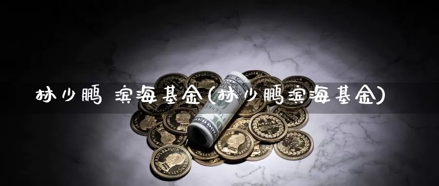林少鹏 滨海基金(林少鹏滨海基金)_https://www.zzcnk.com_财经_第1张