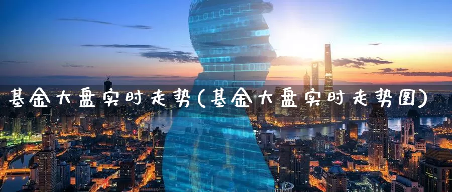 基金大盘实时走势(基金大盘实时走势图)_https://www.zzcnk.com_理财_第1张