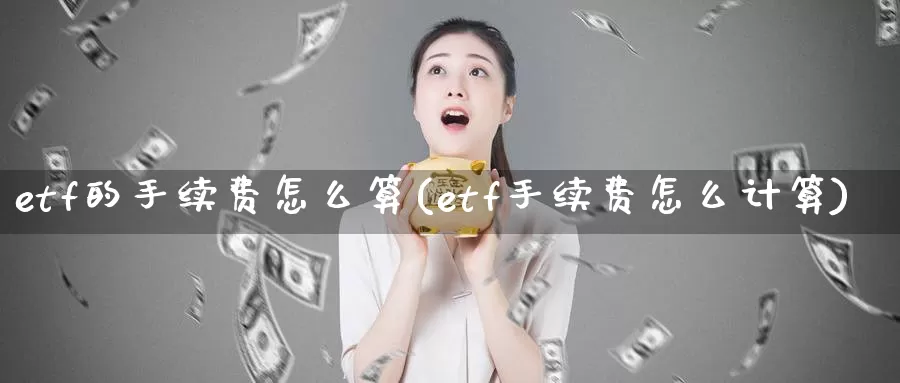 etf的手续费怎么算(etf手续费怎么计算)_https://www.zzcnk.com_内盘期货_第1张