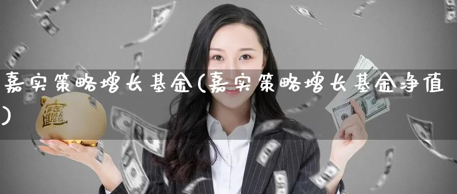 嘉实策略增长基金(嘉实策略增长基金净值)_https://www.zzcnk.com_股票_第1张