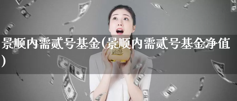 景顺内需贰号基金(景顺内需贰号基金净值)_https://www.zzcnk.com_财经_第1张