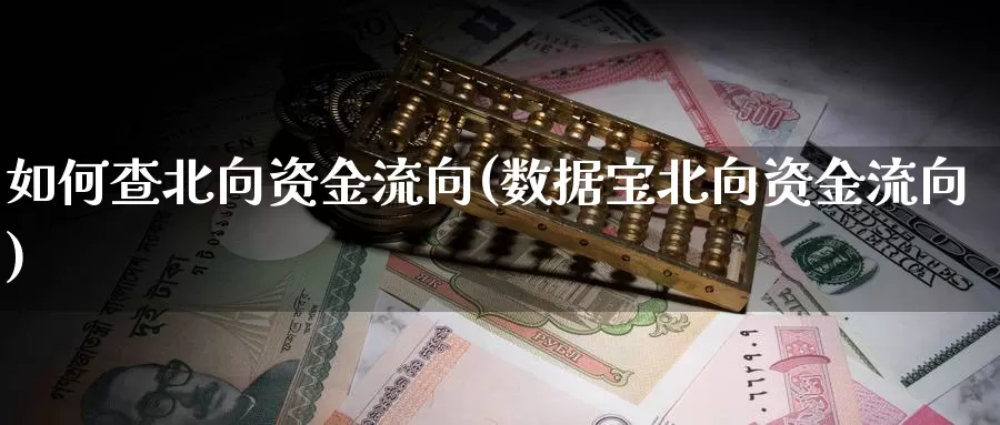 如何查北向资金流向(数据宝北向资金流向)_https://www.zzcnk.com_内盘期货_第1张
