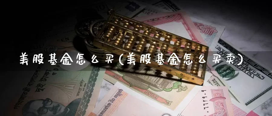 美股基金怎么买(美股基金怎么买卖)_https://www.zzcnk.com_基金_第1张