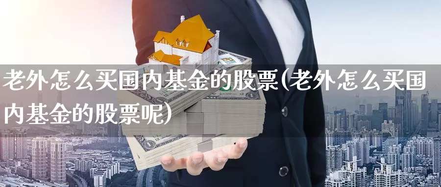 老外怎么买国内基金的股票(老外怎么买国内基金的股票呢)_https://www.zzcnk.com_基金_第1张
