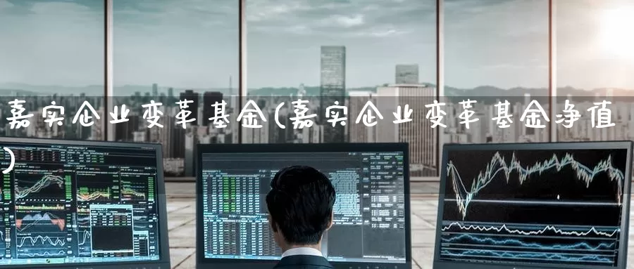 嘉实企业变革基金(嘉实企业变革基金净值)_https://www.zzcnk.com_股票_第1张