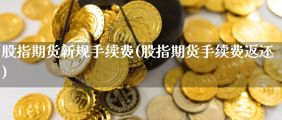 股指期货新规手续费(股指期货手续费返还)_https://www.zzcnk.com_币圈资讯_第1张