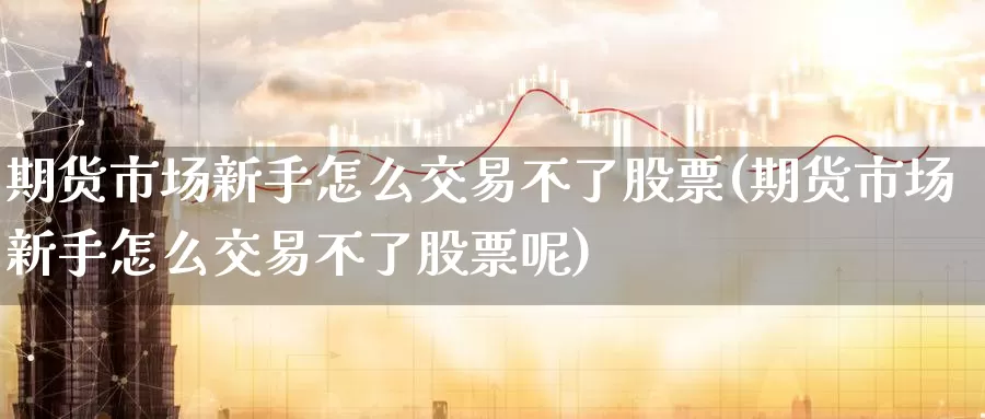 期货市场新手怎么交易不了股票(期货市场新手怎么交易不了股票呢)_https://www.zzcnk.com_原油期货_第1张