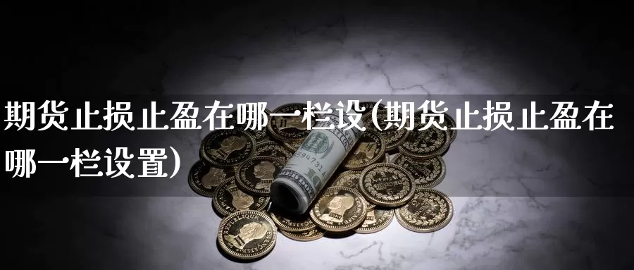 期货止损止盈在哪一栏设(期货止损止盈在哪一栏设置)_https://www.zzcnk.com_纳指期货_第1张