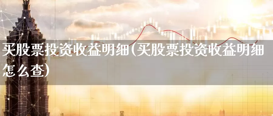 买股票投资收益明细(买股票投资收益明细怎么查)_https://www.zzcnk.com_股票_第1张