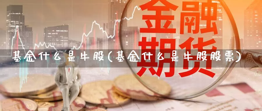 基金什么是牛股(基金什么是牛股股票)_https://www.zzcnk.com_基金_第1张