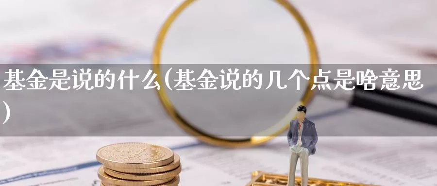 基金是说的什么(基金说的几个点是啥意思)_https://www.zzcnk.com_基金_第1张