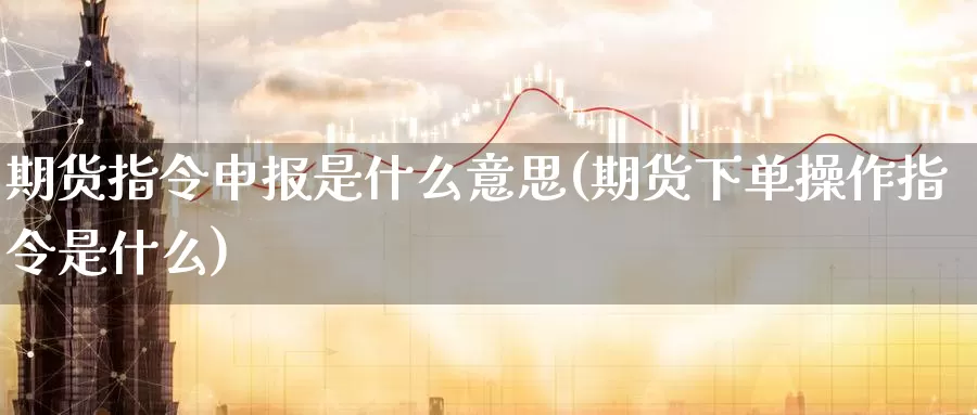 期货指令申报是什么意思(期货下单操作指令是什么)_https://www.zzcnk.com_期货_第1张