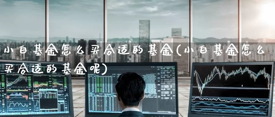 小白基金怎么买合适的基金(小白基金怎么买合适的基金呢)_https://www.zzcnk.com_基金_第1张