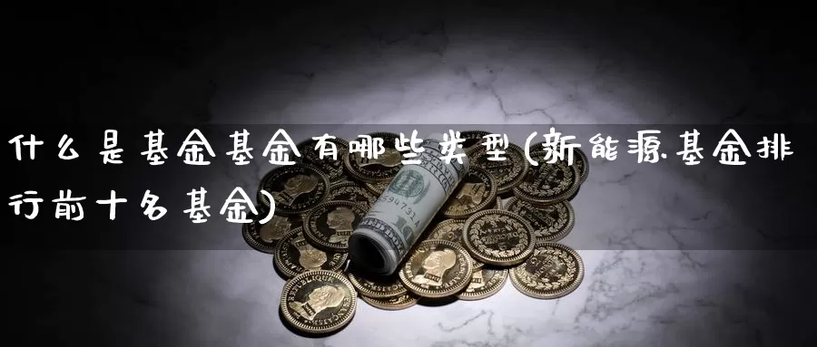什么是基金基金有哪些类型(新能源基金排行前十名基金)_https://www.zzcnk.com_内盘期货_第1张